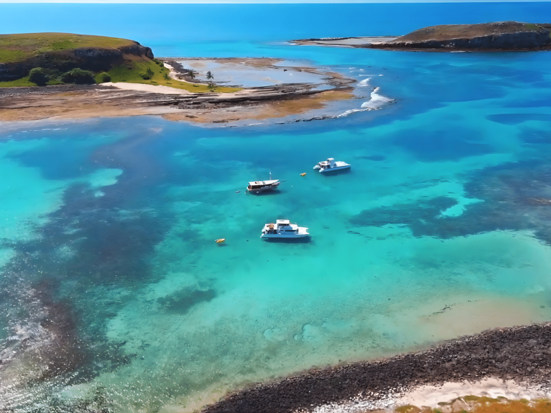 Experiência Exclusiva de Mergulho em Abrolhos