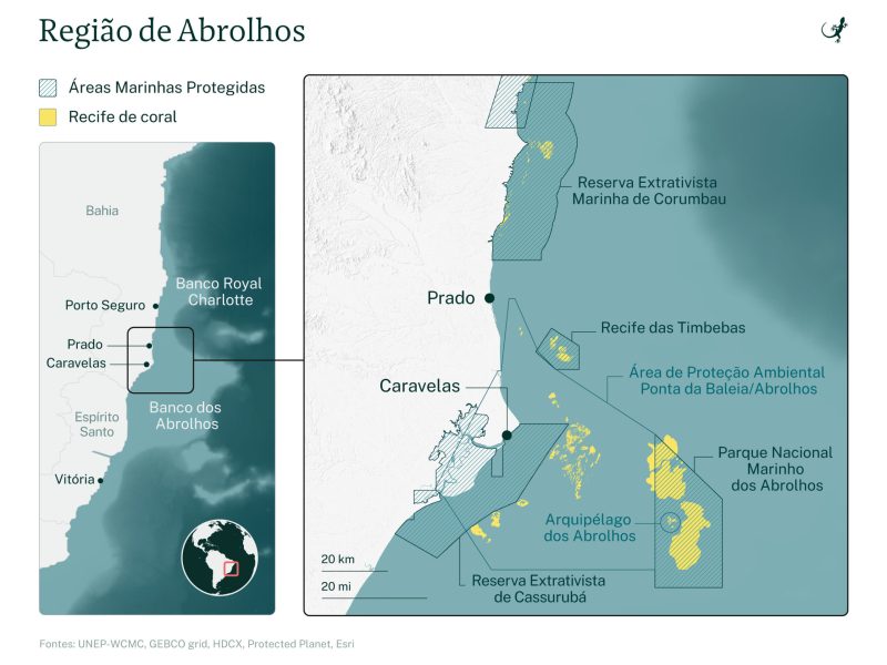 Experiência Exclusiva de Mergulho em Abrolhos