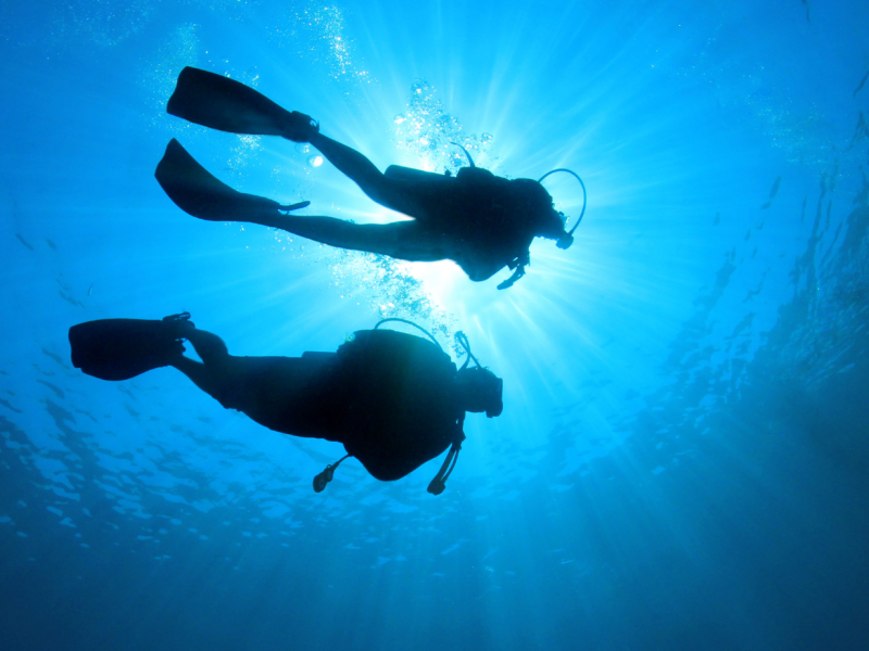 Experiência Exclusiva de Mergulho em Abrolhos